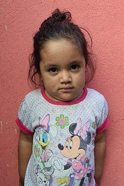 Haydee